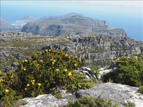 Table Mountain